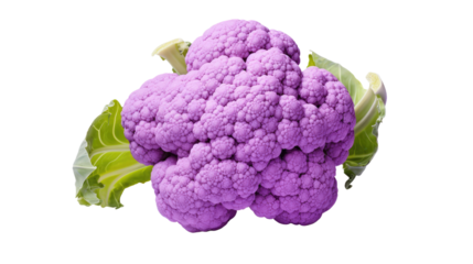 cauliflower (vegetable ingredient) isolated on a transparent background cutout 