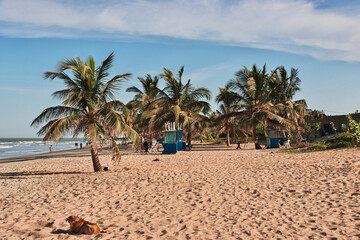 Obraz premium The beach Atlantic ocean in Serekunda area, Gambia, West Africa