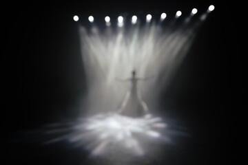 Defocused entertainment concert lighting on stage, blurred disco party and Concert Live.
