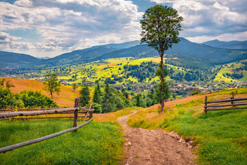Empty country road in the mountain countryside. Colorful summer view of Carpathian meadow, Ukraine,...