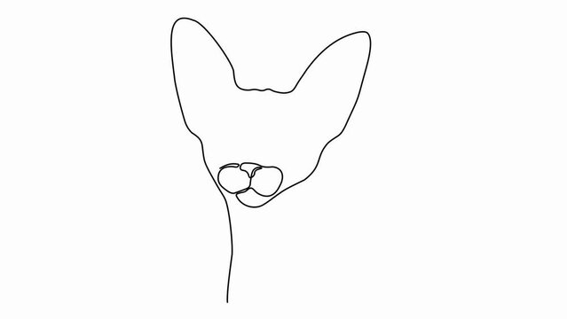 Self drawing animation with one continuous line draw,
the head of a sphinx cat