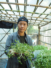 gardener in green house check his vegatable and sunflower sprout healthy food happy farmer
