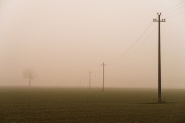 Po Valley foggy misty smoke landscape fields crops