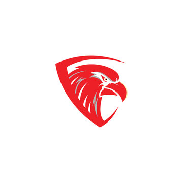 Hand drawn eagle head logo Icon