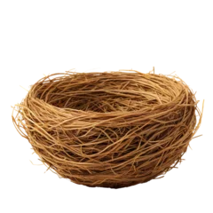 Foto op Plexiglas Empty bird nest isolated on white background © Luckygraphics