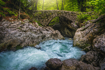 Stone bridge over the brook in the forest, Slovenia