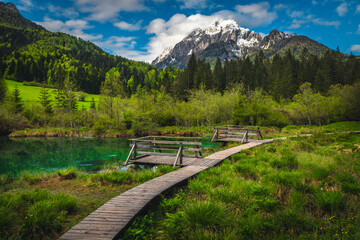 Wooden walkway and lake Zelenci in Slovenia