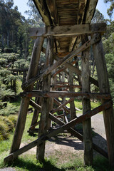Part of the wooden old Monbulk iconic Puffing Billy-Railway Trestle Bridge built in 1889, located in the Dandenong Ranges near Melbourne, Victoria, Australia. Seen from below
