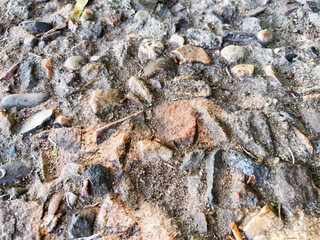 Brown sharp uneven pebbles, natural background, texture with partial focus. Small Rock. Sea background, texture, place for text