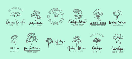 Ginkgo biloba minimal emblem, natural skin care cosmetics and extract. Vector set of linear labels with plant leaves and fonts, reflecting purity of nature. Simply clean and refreshing beauty cosmetic - obrazy, fototapety, plakaty