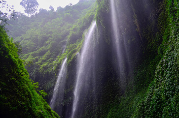A cascading waterfall plunges down a lush, green cliffside, surrounded by verdant vegetation and...