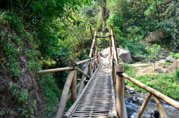 A bamboo bridge stretches across a small stream in a lush green forest, showcasing natural beauty and simple construction.