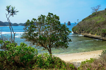 Obraz premium Serene tropical beach cove with clear water, lush vegetation, and rocky formations.