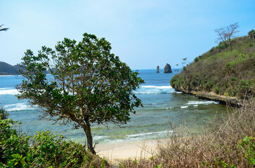 Serene coastal scene showcasing a secluded beach, tranquil turquoise waters, and a windswept tree overlooking dramatic rock formations in the distance.