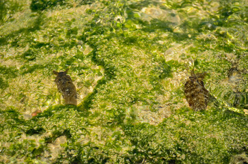 Beautiful Beach with white sand and clear skyline in Malang
