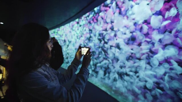 A girl films on her phone in an aquarium how many jellyfish swim together in neon light