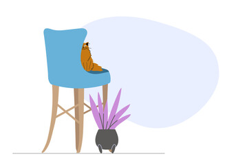 Illustration of orange fluffy cat sitting on blue chair with blue space behind as background for your text. Template for banner, home page for pet shop or veterinary clinic.
