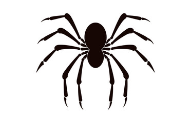 A Spider vector black silhouette isolated on a white background