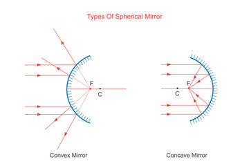 Spherical mirror.  Curved reflective surface, convex mirror and concave mirror. Physics illustration.
