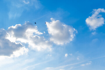 Blue sky with white fluffy clouds and two birds flying in the sky. New Live Beginning, Never Give Up and Positive Energy concepts. 