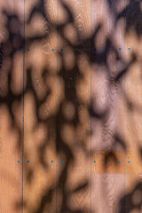 Wooden pattern wall with leaf shadows as a background image