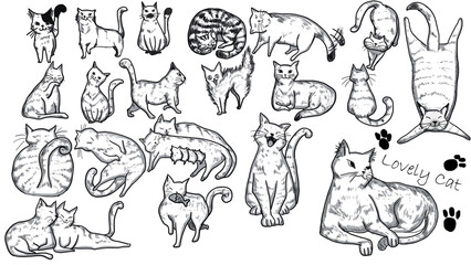 animals set
-Lovely Cats