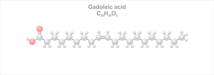 Gadoleic acid. Simplified scheme of the molecule. Prominent component of cod liver oil.