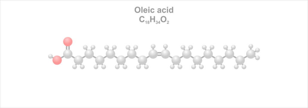 Oleic acid. Simplified scheme of the molecule. Occurs naturally in animal and vegetable fats and oils.