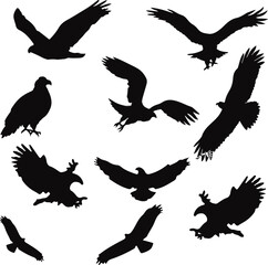 set of silhouettes of Eagles. Eagles icon sheet. 