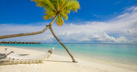 Tropical beach background as summer relax landscape with beach swing or hammock and white sand and calm sea for beach template. Amazing beach scene vacation and summer holiday concept. Luxury travel
