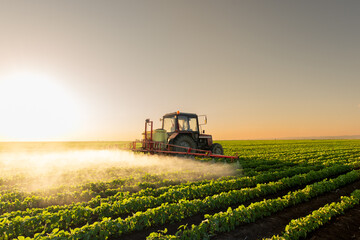 Tractor spraying soybean crops field