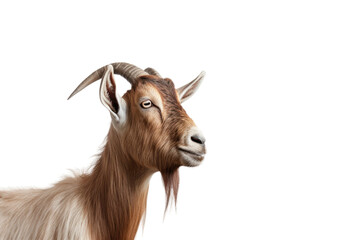 Goat in Nature Isolated On Transparent Background