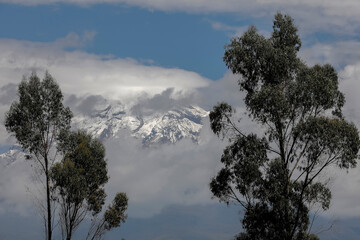 Obraz na płótnie Canvas Chimborazo mountain and volcano landscape, Ecuador