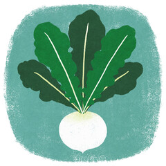 春の七草,七草,セリ,ナズナ,ゴギョウ,ハコベラ,ホトケノザ,スズナ,スズシロ,春,人日の節句,七草の節句,素材,食べ物,和食,日本食,食材,野菜,ベジタブル,イラスト,手描き風,健康,ヘルシー,年中行事,自然,植物,あたたかい,やさしい,和