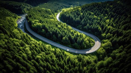 aerial view from above of road through the green forest