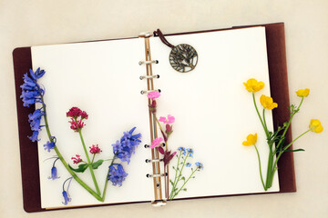 Spring Wildflower nature study with old leather notebook, bluebell, buttercup, red campion,...