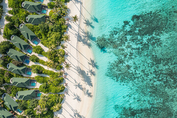 Aerial landscape view of tropical summer palm trees shadows on sandy coast ocean waves splash...