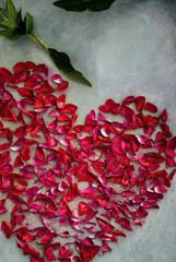 rose petals in the shape of a heart, water drops, Valentine's day. Generative AI