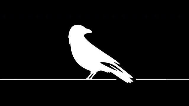 Black сrow graphic animation. Alpha channel. Raven bird on transparent background motion design. 4K resolution