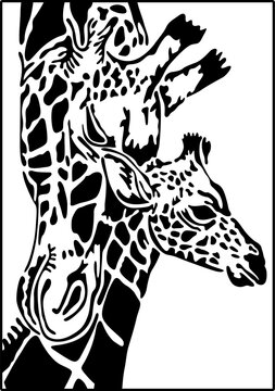africa, african, animal, art, background, black, cartoon, cute, design, doodle, drawing, drawn, face, giraffe, graphic, hand, head, illustration, image, isolated, line, mammal, nature, pattern, portra