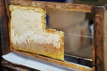 Honeycomb within hives frame