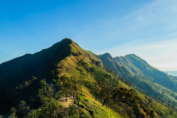 Beautiful mountain valley during sunrise. Natural rainy season landscape.