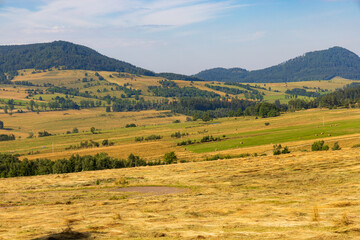 Beautiful landscape of glades and clearing full of fields and trees between it at mountains at sunny cloudy day
