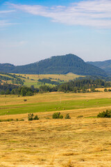 Fototapeta premium Beautiful landscape of glades and clearing full of fields and trees between it at mountains at sunny cloudy day