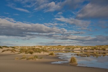 Amrum Insel Schleswig-Holstein Deutschland Nordsee Welterbe UNESCO