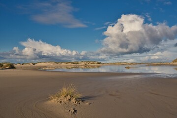 Amrum Insel Schleswig-Holstein Deutschland Nordsee Welterbe UNESCO