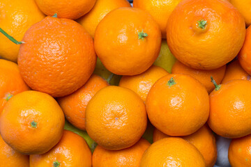 Grupo de mandarinas recién recolectadas