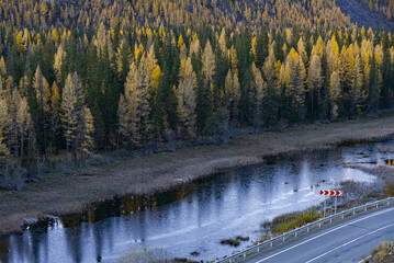 Autumn landscape. Country road in autumn.