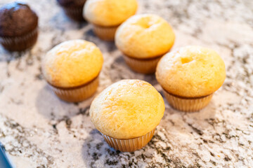 Baking Cupcakes for Creative Cactus-Themed Decoration