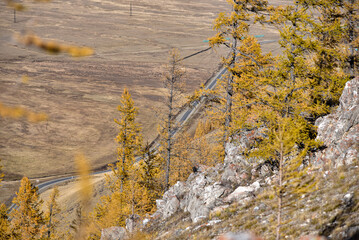 Autumn landscape. View of the road through the trees.